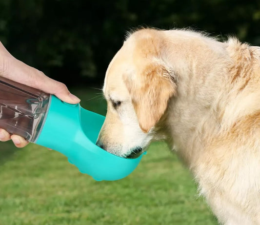 Dispensador de Agua y Alimento